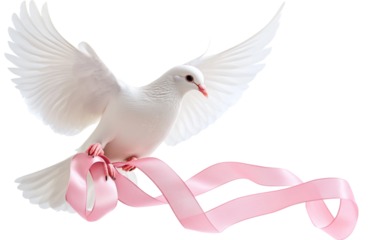 White dove with a pink ribbon flying gracefully representing harmony, love, and hope in the air.
Symbolic white dove holding a pink ribbon in its beak, representing peace, unity, and compassion.