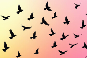 Fototapeta premium Dynamic silhouettes of birds in flight against a pastel sunset gradient showcasing nature's beauty