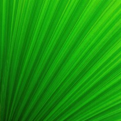 Overlapping palm fronds with stripes and textured surface, green, texture