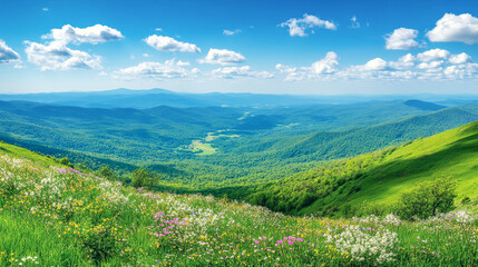 Obraz premium Breathtaking spring mountain landscape with vibrant green valleys and blooming wildflowers