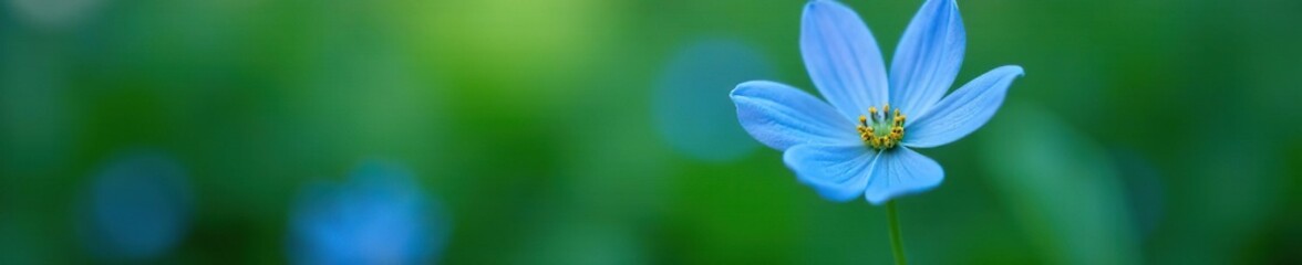 Obraz premium delicate blue petals unfolding on a green stem, nature, flowers, floral detail