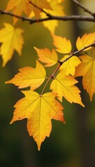 Obraz premium Yellow autumn leaves on a birch branch ornament, natural, yellow, ornaments