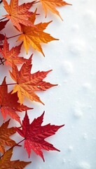 Fototapeta premium Delicate maple leaves in a gradient of orange and red hues on a snowy white backdrop, white background, , snow