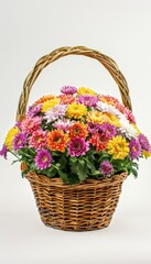 Colorful Chrysanthemum Flower Basket for Floral Decoration and Gift Ideas