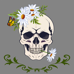 A bouquet of flowers on a skull.Vector illustration of a skull with a bouquet of daisies on a gray background with a frame.