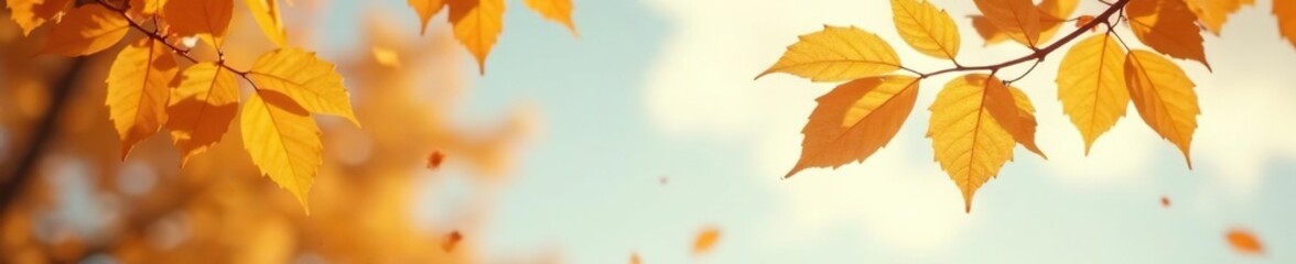 Fototapeta premium Delicate golden leaves fall from a sky background with soft focus effect, background, leaves, sky