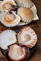 Atlantic bay scallops coquille St. James sea shells, opened in shellsand cleaned, catch of the day...
