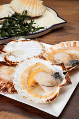 Atlantic bay scallops coquille St. James sea shells, opened in shells, catch of the day in Normandy...