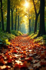 Obraz premium Forest floor covered in a mosaic of fallen leaves, leaves, natural, floor