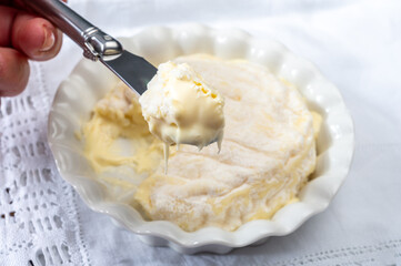 Eating of french dauphinois cheeses collection, Saint-Marcellin, Saint- Felicien cow's milk cheese with white mold from Rhône-Alpes region of France