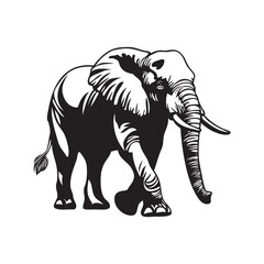 elephant vector illustration