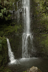 A majestic waterfall in the middle of untouched nature, Levada do Caldeirão Verde, Madeira