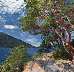 Lake Crescent landscape view Olympic National Park, Washington, United States.