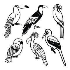 Birds Set Vector Design Silhouette 