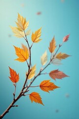 Autumn branch with golden leaves and stems against a soft blue background, warm, leaves, blue