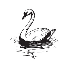 silhouette of a swan