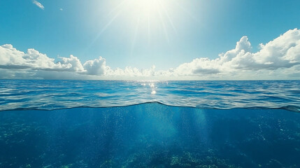 Ocean's Embrace: A breathtaking split-level view of the ocean, where the vibrant blue surface meets the mysterious depths. Sunlight filters through the water, creating a magical underwater scene. 