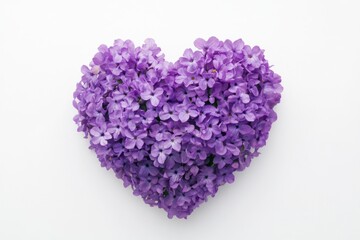 Fototapeta premium Valentines Day celebration enhanced by heart-shaped lavender blooms on a pristine white backdrop
