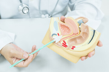 Doctor demonstrates cervical cancer screening on white background.Gynecologist teaching patient for vaginal and cervix pap smear check up in the obstetrics and gynecology department.Medical concept.