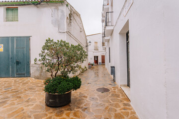 Naklejka premium Narrow cobblestone street in Gaucín, Spain, with whitewashed buildings, a green gate, a potted tree, and wrought iron balconies on a cloudy day.