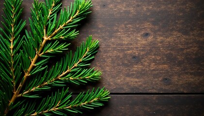 fir branches on rustic wood against dark brown background, branches, tree
