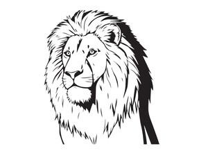 Lion. Sketchy, graphical, black and white portrait of a lion forward on a white background.