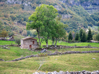 Caba&ntilde;as pasiegas de Espinosa