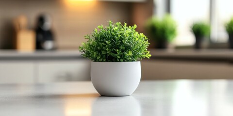 Serene Indoor Plant in Modern Kitchen
