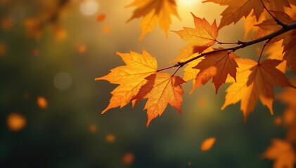 Obraz premium Golden brown leaf drops from deciduous tree branch, foliage, tree branches