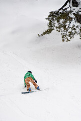 Snowboarder riding down snowy slope near pine trees