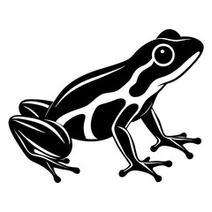 animal golden poison dart frog