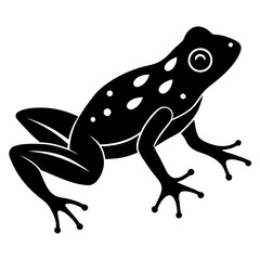 animal xenopus frog