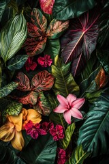 Lush tropical foliage and vibrant flowers in a dense jungle setting