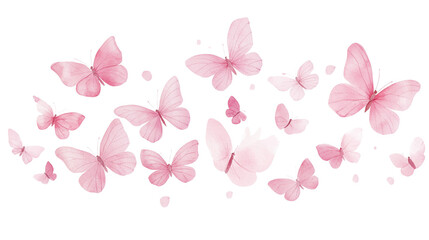 a flying butterflies isolated on a transparent background