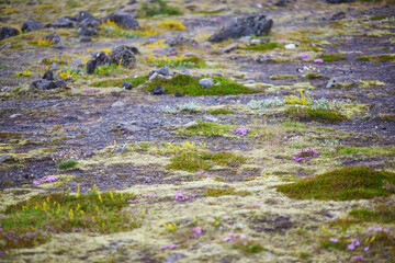 Majestic summer landscapes with cliffs and fields in Southern Iceland.