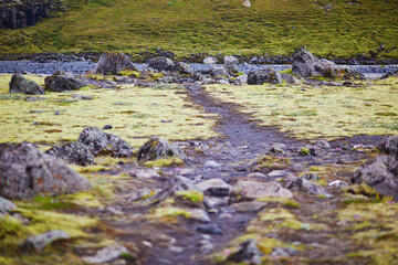 Majestic summer landscapes with cliffs and fields in Southern Iceland.