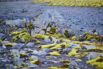 Majestic summer landscapes with cliffs and fields in Southern Iceland.