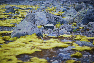Majestic summer landscapes with cliffs and fields in Southern Iceland.