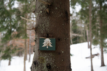 tree sign on a tree