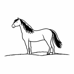 horse illustration
