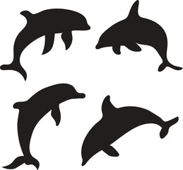 dolphin silhouette on white background
