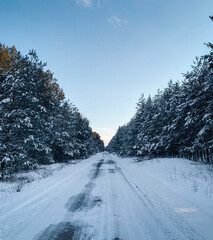 Obraz premium Narrow road in snowy forest at dusk. Driving in snow: a narrow road through winter forest, surrounded by pine trees.