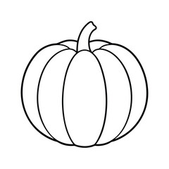 pumpkin isolated on white vector illustration