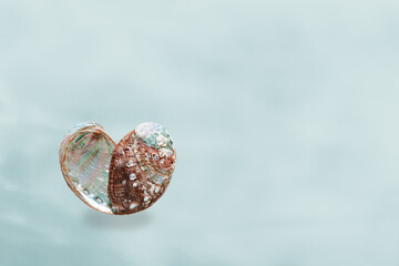 Shiny Shell of abalone as heart with natural texture, closeup seashell on soft blue background with...
