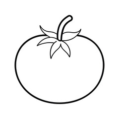 tomato vector illustration