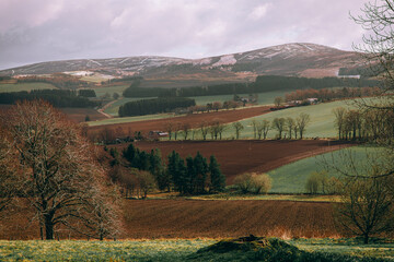 Naklejka premium Scottish countryside in Aberdeenshire, Scotland. 