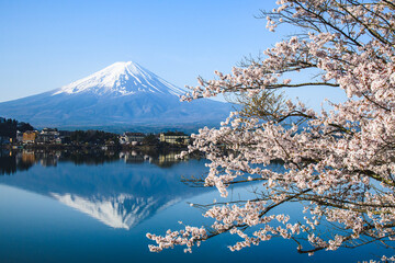 河口湖から富士山と桜