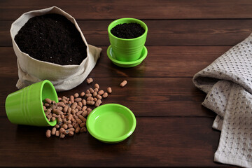 Gardening Tools with Soil and Clay Granules on Wooden Table