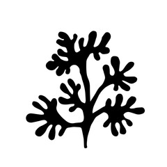 Seaweed silhouette, decorative botanical element. Vector graphics.