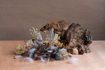 still life, phyto design, composition of dry flowers, branches, wood, bird feathers.
